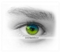 Eyes042