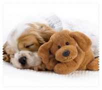 Animals001