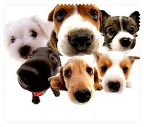 Animals004