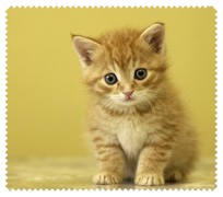 Animals011