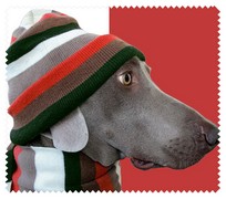 Animals014