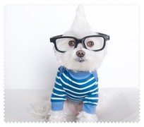 Animals019