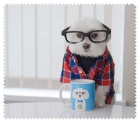 Animals020
