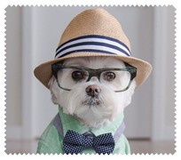 Animals024