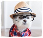 Animals025