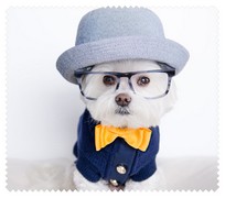 Animals026