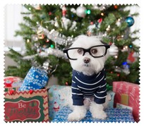 Animals028