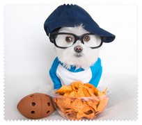 Animals030