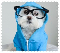 Animals031