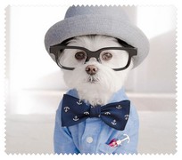 Animals032