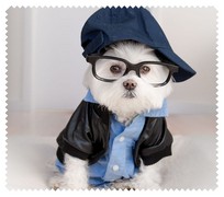 Animals033