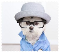 Animals034