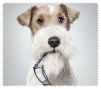 Animals035