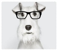 Animals036