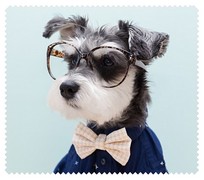 Animals037