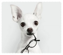Animals038