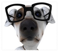 Animals041