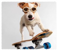 Animals042