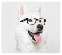 Animals045