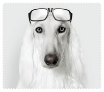 Animals046