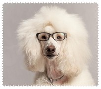 Animals048
