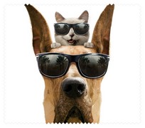 Animals050