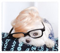 Animals052