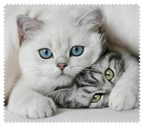 Animals053