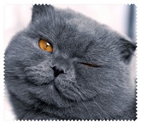 Animals055