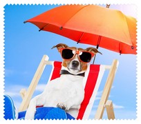 Animals059