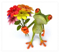 Animals061
