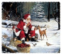 Christmas015