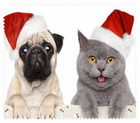 Christmas028