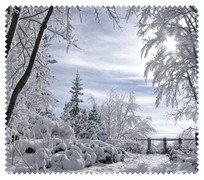 Winter006