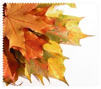 Autumn001