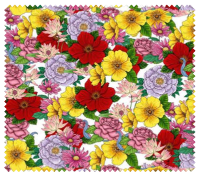 MULTICOLOR 012